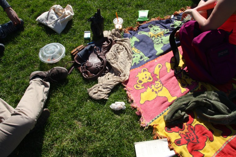 grateful dead blanket, eddie's lawn