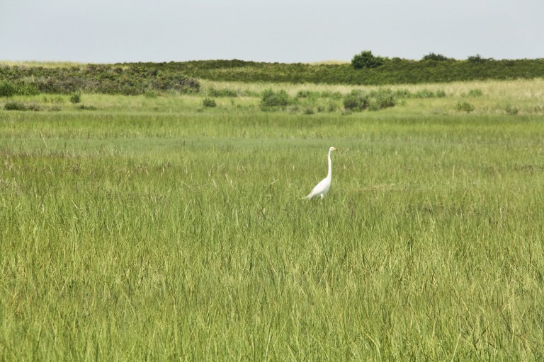 at the wildlife park