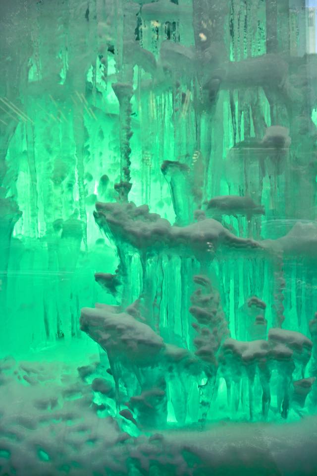 11205045_10207780823059542_573738922225798202_n