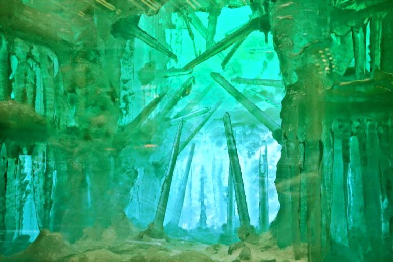 12348085_10207780822779535_9012021847712160474_n