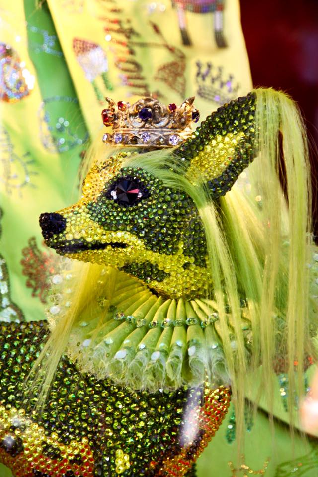 12360094_10207780820819486_9102625984401862952_n