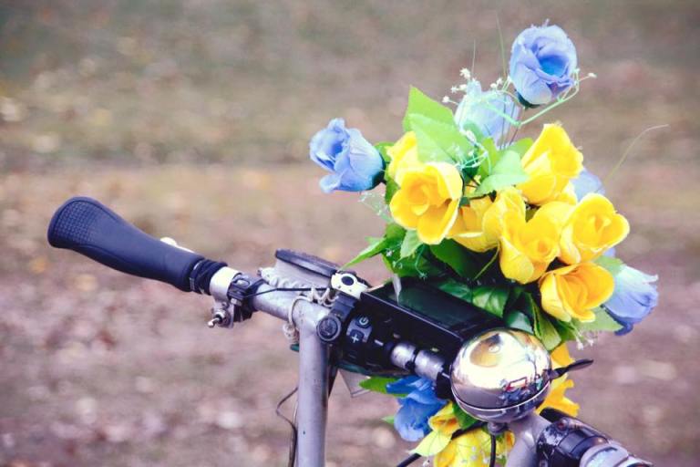 12360273_10207780817459402_2513327202218974219_n