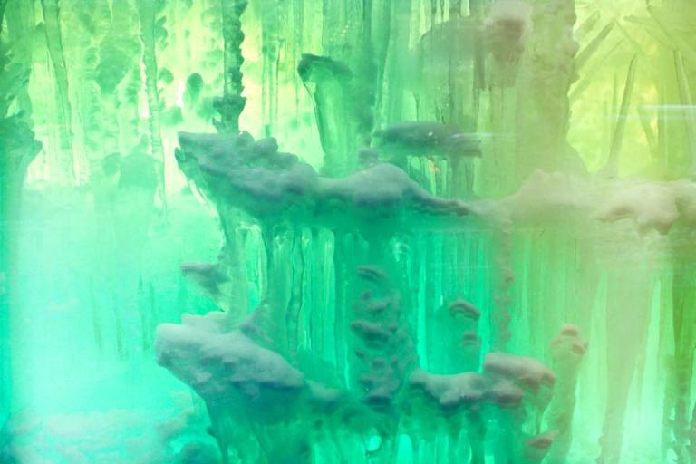 12369250_10207780822539529_4152985605135646635_n