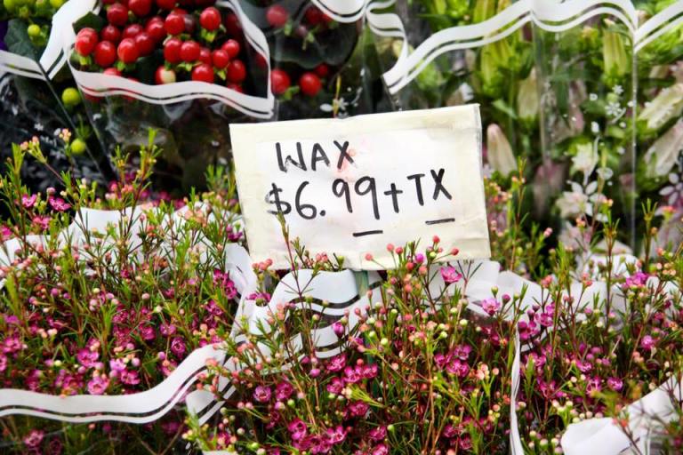 12376546_10207798753987804_5521263171215892012_n