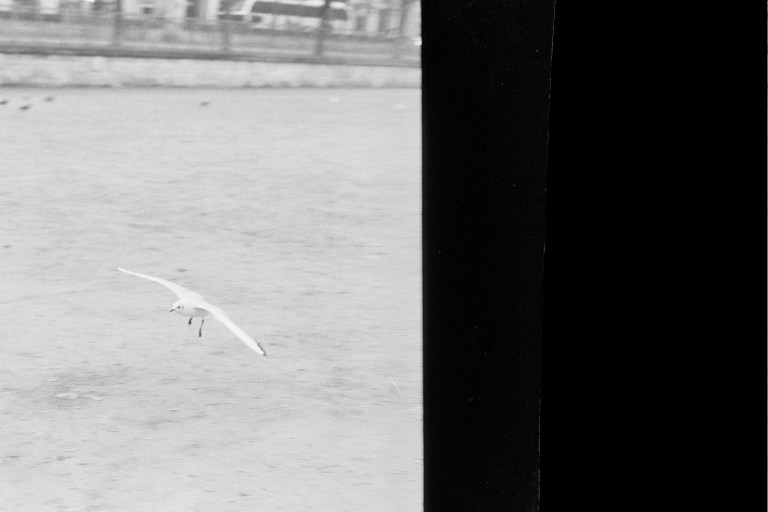 Autosave-File vom d-lab2/3 der AgfaPhoto GmbH