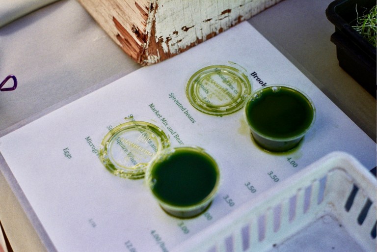 Autosave-File vom d-lab2/3 der AgfaPhoto GmbH