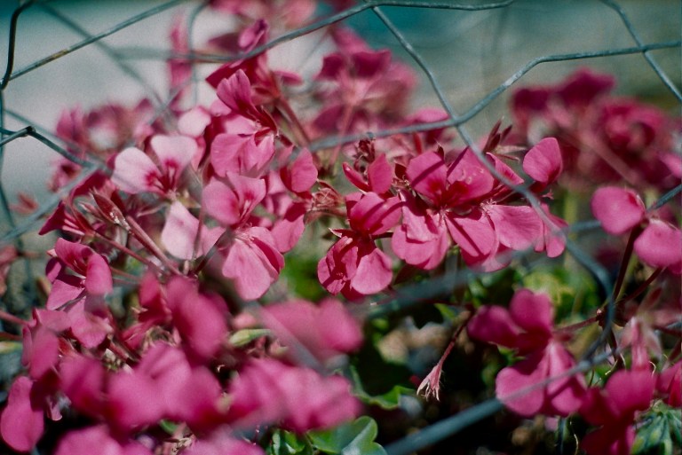 Autosave-File vom d-lab2/3 der AgfaPhoto GmbH