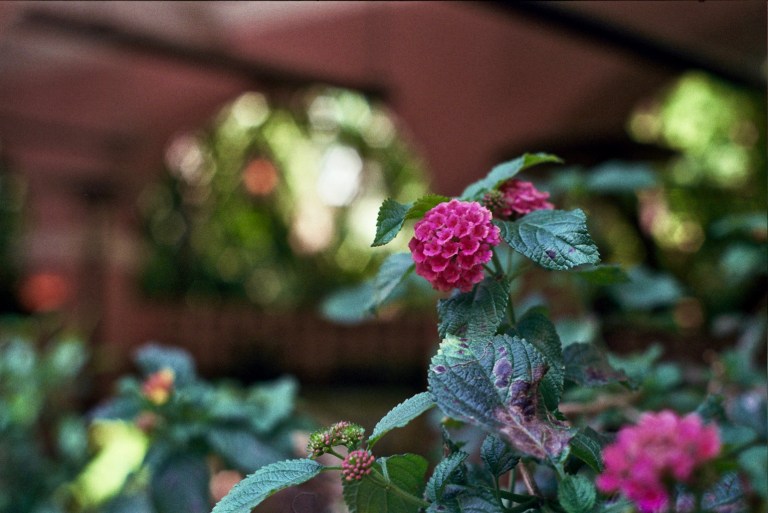 Autosave-File vom d-lab2/3 der AgfaPhoto GmbH