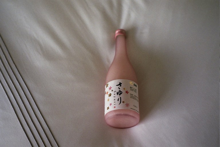 Autosave-File vom d-lab2/3 der AgfaPhoto GmbH