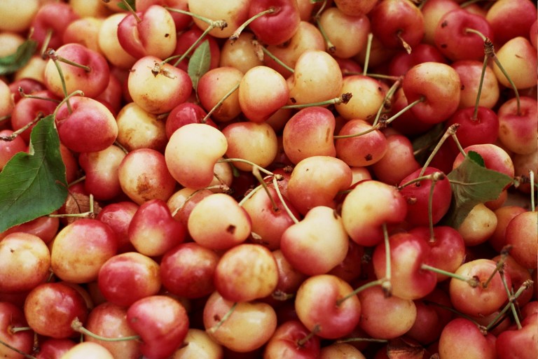 Autosave-File vom d-lab2/3 der AgfaPhoto GmbH