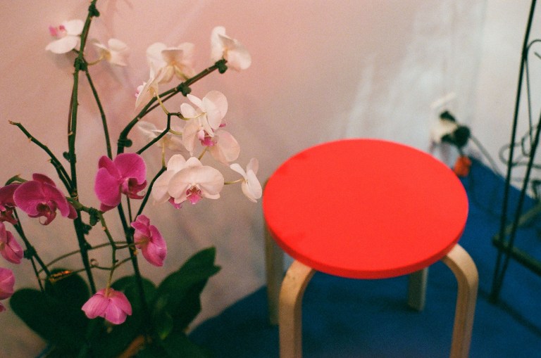 special special gallery